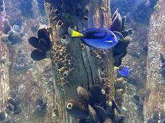 -海合安武汉极地海洋公园