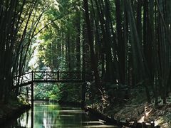 -同里国家湿地公园