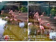 -鄂尔多斯野生动物园