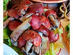 -菌海森林·非遗野生菌火锅(西山区滇池路摩根道店)