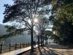 -广州市石门国家森林公园