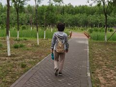 -东郊湿地公园