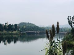 -枫香湖儿童公园