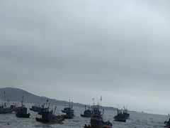 -海源公园