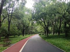 -望湖公园
