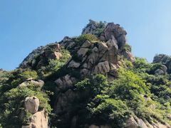 -大岭沟猕猴桃谷风景区