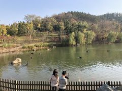 -南京银杏湖乐园