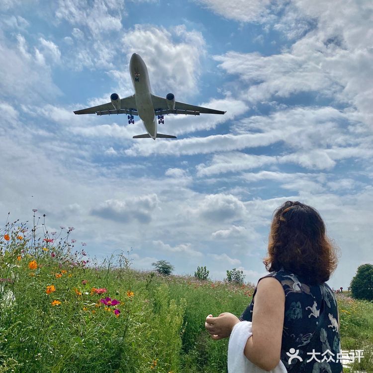 看飞机✈️好去处  拍照真的好好看呀～ 