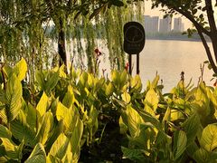 -东湖景区