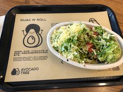 -油梨树 AVOCADO TREE(亮马桥店)