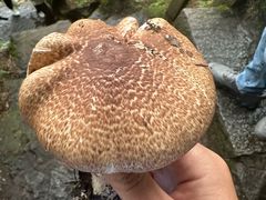 -苍山感通索道