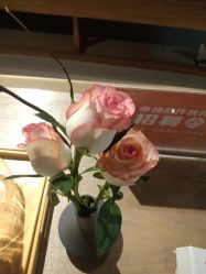 -FineYoga梵音瑜伽·普拉提