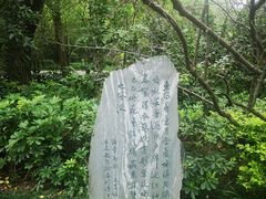 -棠湖公园