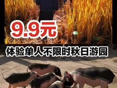 -前小桔亲子创意农场·草莓采摘·露营烧烤