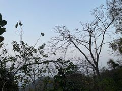 -紫金山山顶公园
