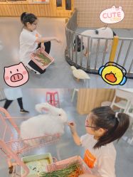 -Moni星球萌宠·小马宝莉·灵蛇·高端高阶全萌宠互动体验俱乐部(红豆国际广场店)