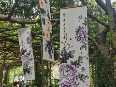 -广西壮族自治区药用植物园