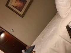 -汕尾巴黎半岛酒店