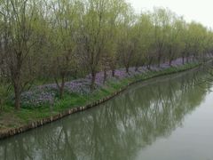 -溱湖国家湿地公园