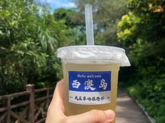 -西澳岛