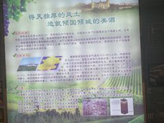 -北京张裕爱斐堡酒庄