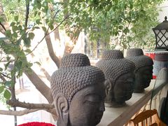 -子福慧(虹桥店)
