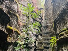 -梭布垭石林景区