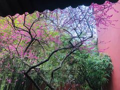 -钱王祠