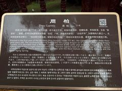 -晋祠博物馆