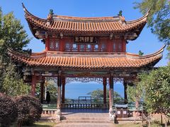 -洱海月湿地公园