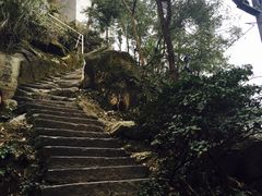 -大金鹰园