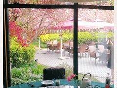 -荷风细雨·中国茶宴(碧云店)