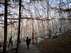 -塞罕坝国家级自然保护区