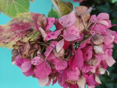 -昆山城市生态森林公园