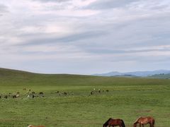 -塞罕坝国家级自然保护区