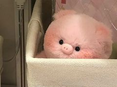 -鹤之乡·齐齐哈尔烤肉·非遗(秋涛路店)