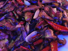 -山菌美食苑(振兴路店)