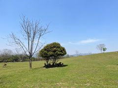 -良渚古城遗址公园