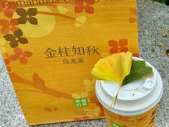 -奈雪的茶(正弘城PRO+店)