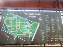 -上海长兴岛郊野公园