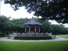-中山大学学者灵芝(园南路店)