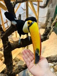 -Zoolung Zoolung动物主题公园(海信广场店)