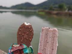 -风云岭森林公园