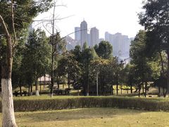 -重庆市江北嘴中央商务区中央公园