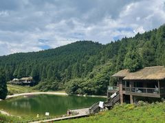 -武陵山森林公园