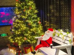 -上岛咖啡(珠园店)