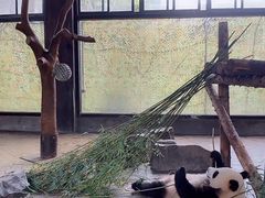 -野生动物园-停车场