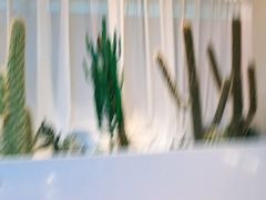 -悦海·家宴·冰花皮皮虾大锅贴(宝龙店)