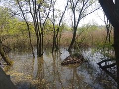 -西湖风景区-江洋畈生态公园