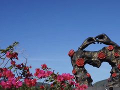 -亚龙湾国际玫瑰谷
